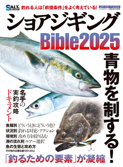 ショアジギングBible2025