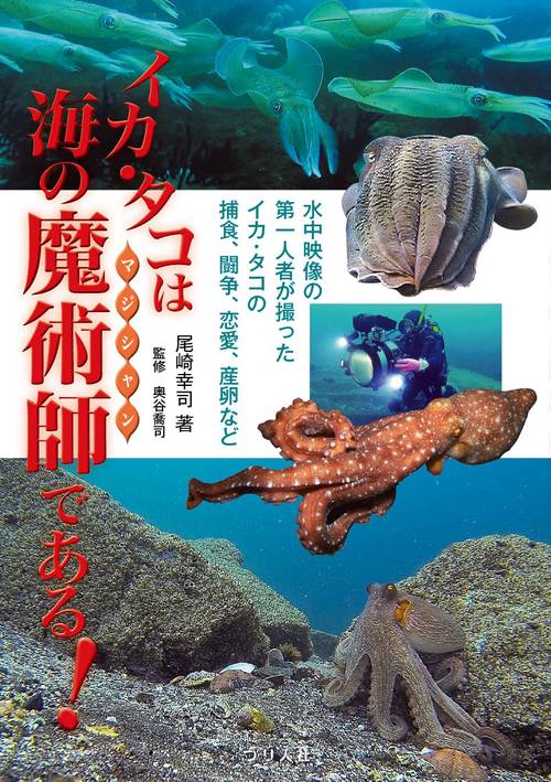 イカ・タコは海の魔術師である！