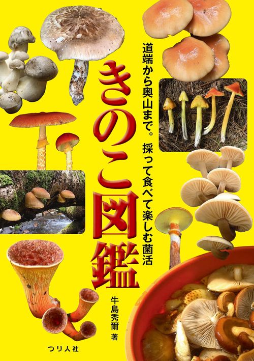 きのこ図鑑 – 丸善ジュンク堂書店ネットストア