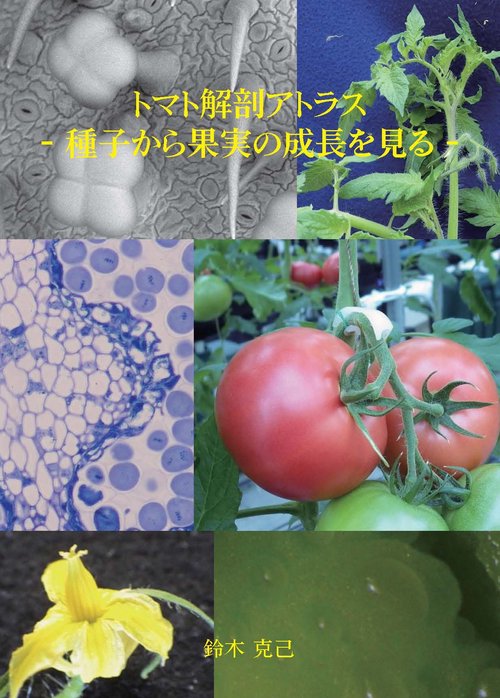 トマト解剖学アトラス （DVD-ROM版）
