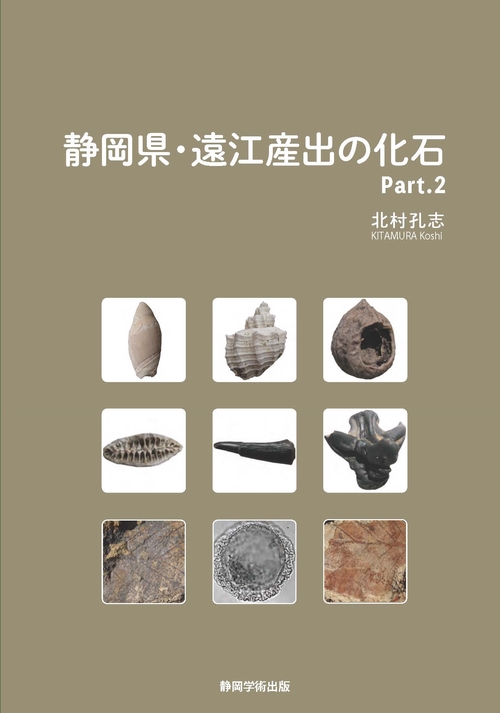 静岡県・遠江産出の化石 Part.２