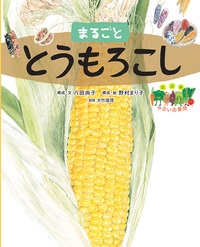 まるごととうもろこし