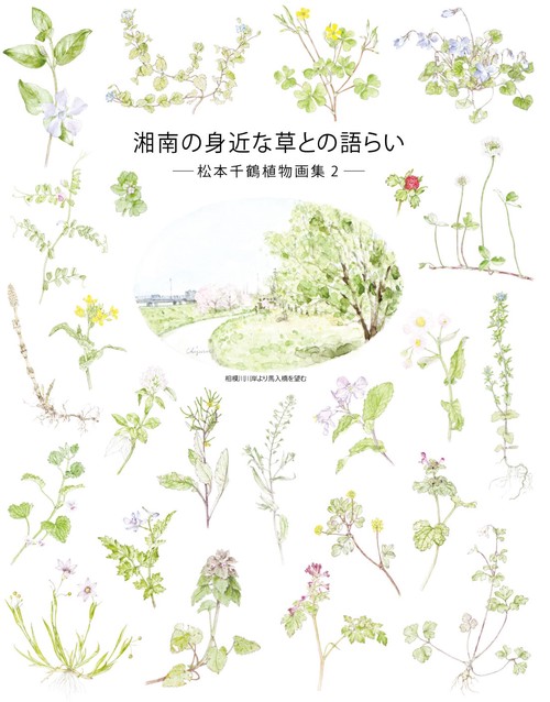 湘南の身近な草との語らい 松本千鶴植物画集 2