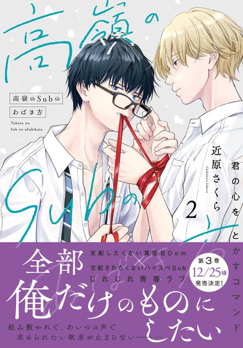 高嶺のSubのあばき方 2