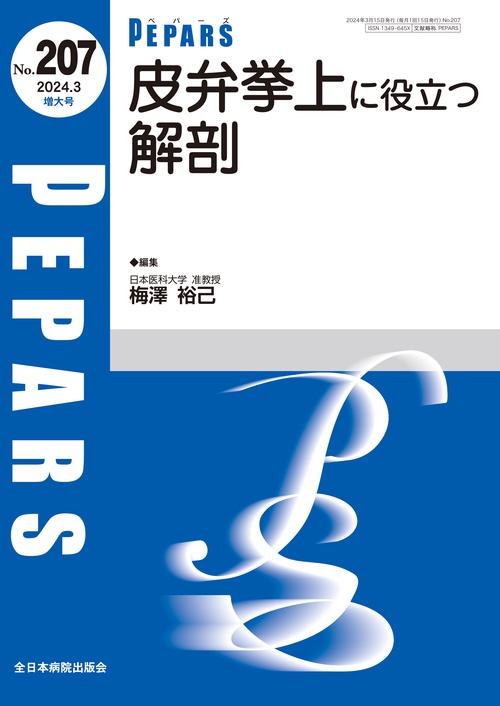 皮弁挙上に役立つ解剖