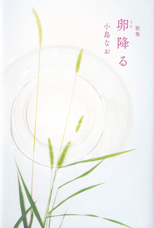 歌集 卵降る