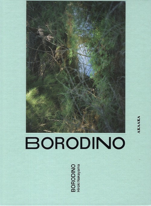 BORODINO