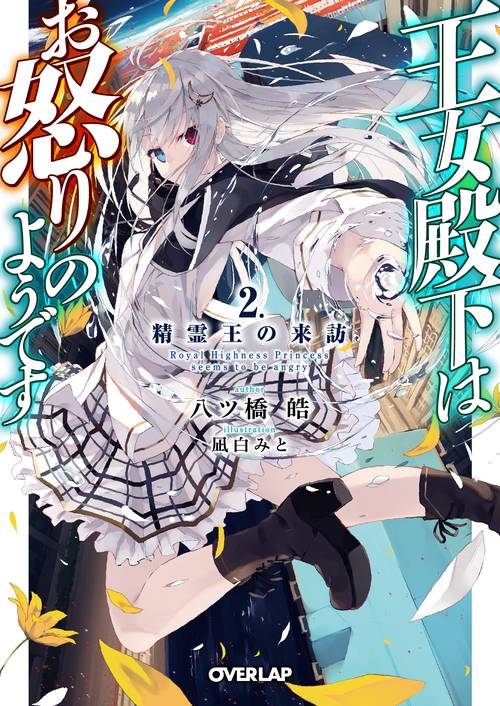 王女殿下はお怒りのようです 2