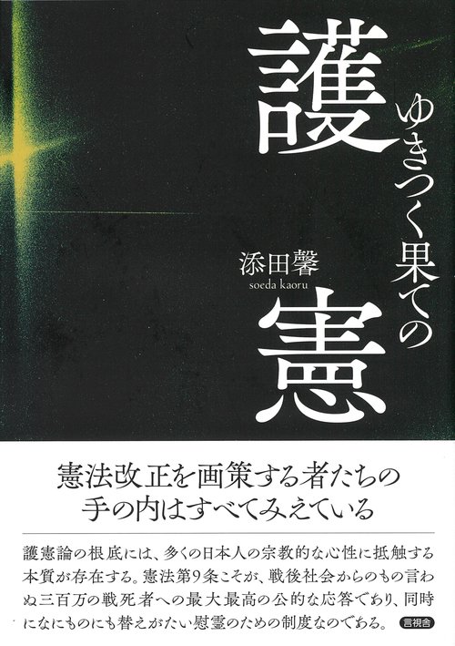 ゆきつく果ての護憲