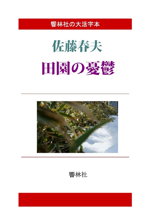 【オンデマンドブック】【大活字本】佐藤春夫の「田園の憂鬱　或は病める薔薇」