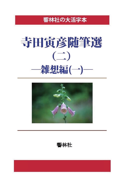 【オンデマンドブック】【大活字本】寺田寅彦随筆選(二)―雑想編(一)