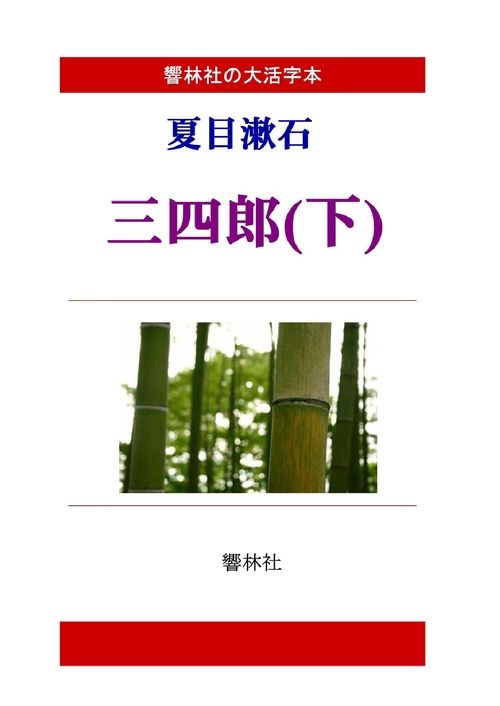 【オンデマンドブック】【大活字本】夏目漱石「三四郎(下)」(響林社の大活字本シリーズ)