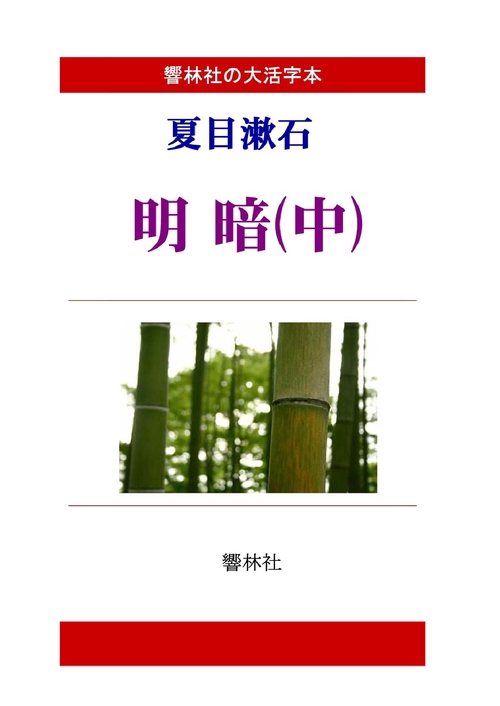 【オンデマンドブック】【大活字本】夏目漱石「明暗（中）」（全3巻）