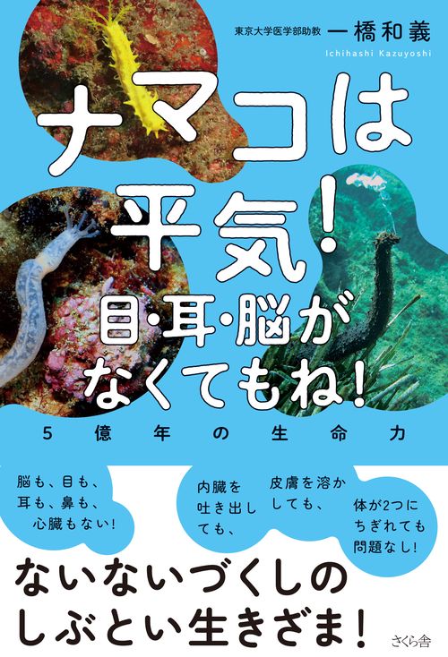 ナマコは平気！目・耳・脳がなくてもね！
