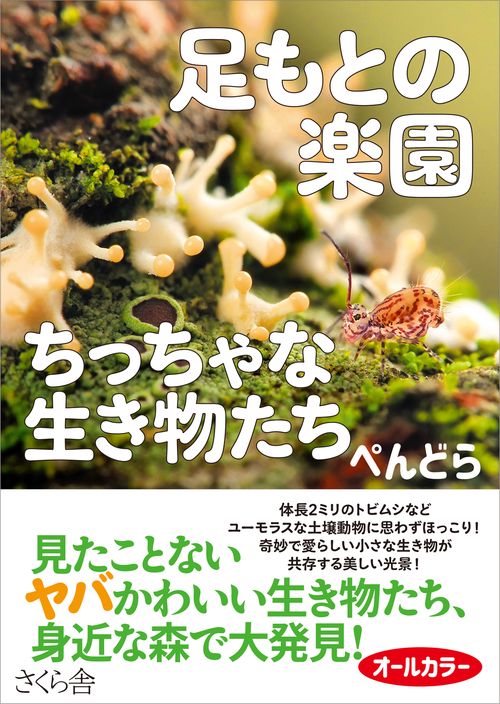 足もとの楽園  ちっちゃな生き物たち