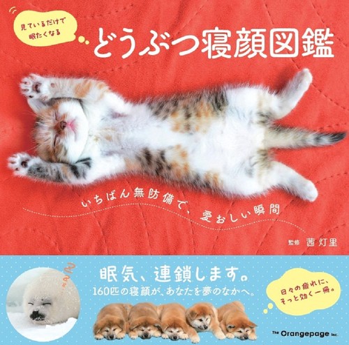どうぶつ寝顔図鑑　いちばん無防備で、愛おしい瞬間