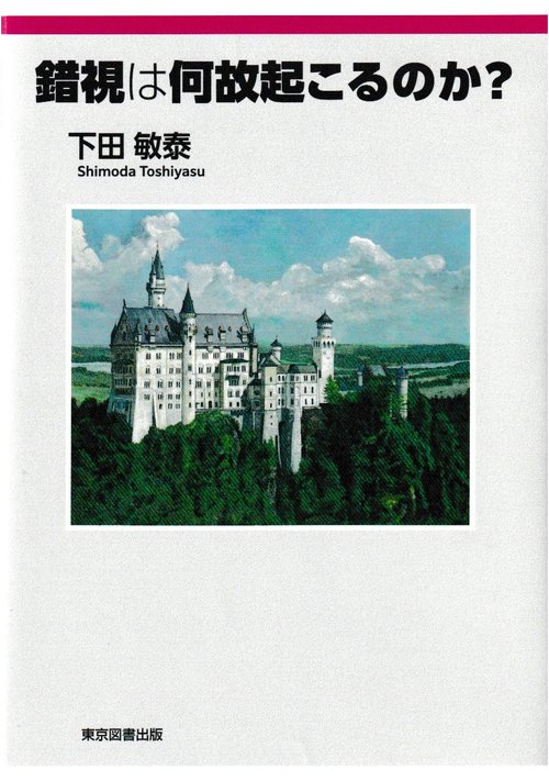 錯視は何故起きるのか？