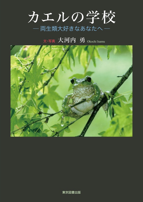 カエルの学校