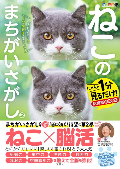 毎日脳活スペシャル　ねこのまちがいさがし２