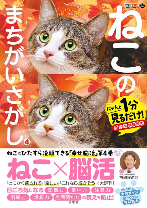毎日脳活スペシャル　ねこのまちがいさがし４