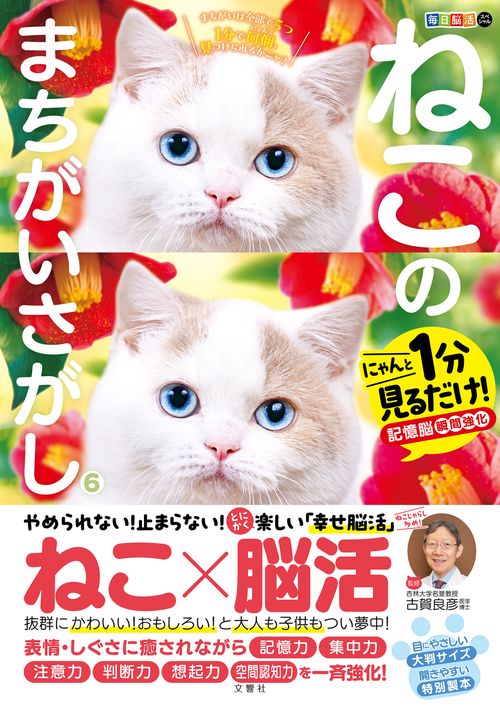 毎日脳活スペシャル　ねこのまちがいさがし６