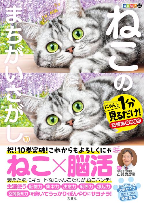 毎日脳活スペシャル　ねこのまちがいさがし10