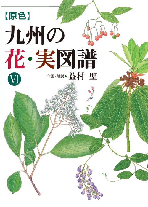 九州の花・実図譜