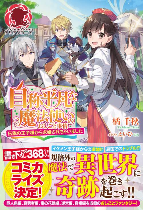自称平凡な魔法使いのおしごと事情 〔3〕
