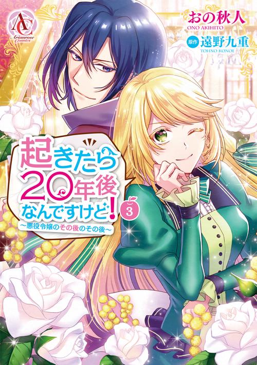 起きたら20年後なんですけど！ 悪役令嬢のその後のその後 3