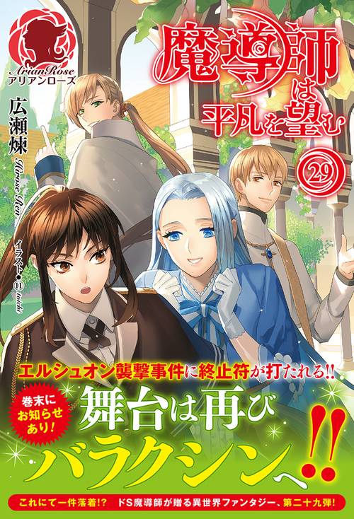 魔導師は平凡を望む 29