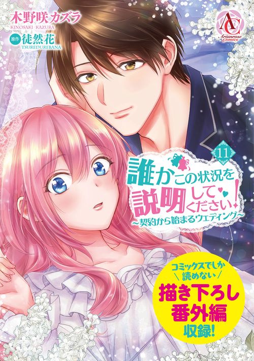 誰かこの状況を説明してください！ ～契約から始まるウェディング～  11