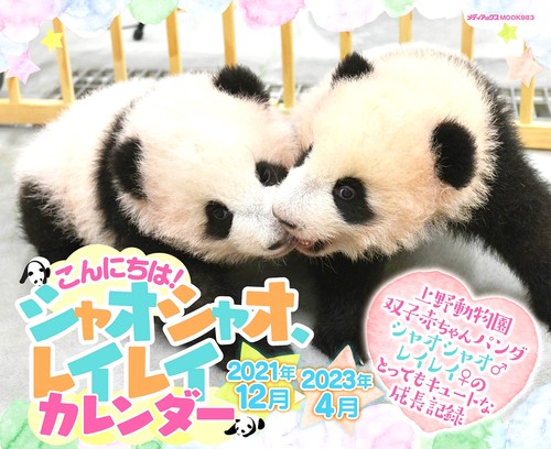 こんにちは！　シャオシャオ、レイレイカレンダー