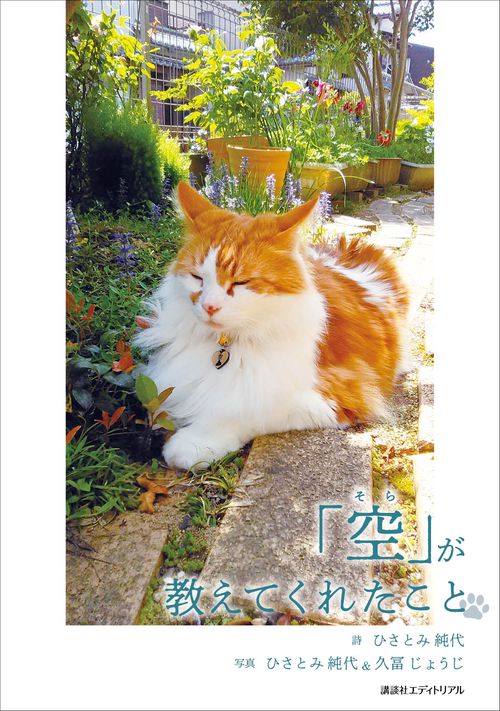 「空」が教えてくれたこと