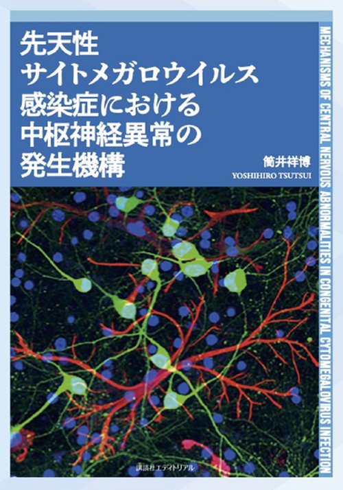 先天性サイトメガロウイルス感染症における中枢神経異常の発生機構