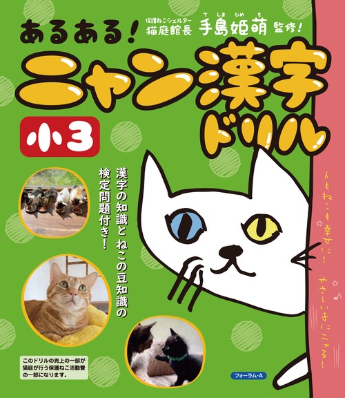 あるある！　ニャン漢字ドリル　小学3年生