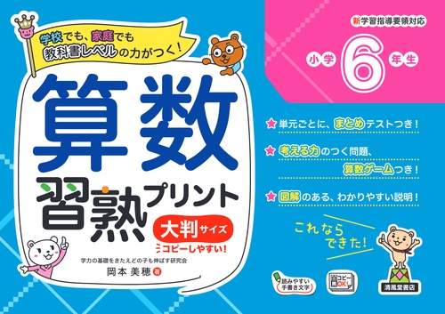 算数習熟プリント　小学6年生　大判サイズ