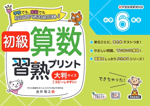 初級算数習熟プリント　小学6年生　大判サイズ