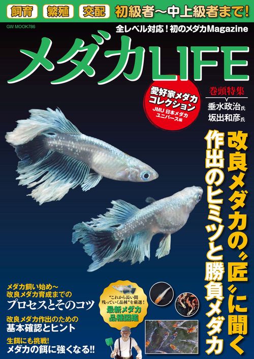 メダカLIFE
