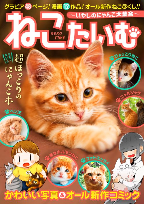 ねこたいむ いやしのにゃんこ大集合