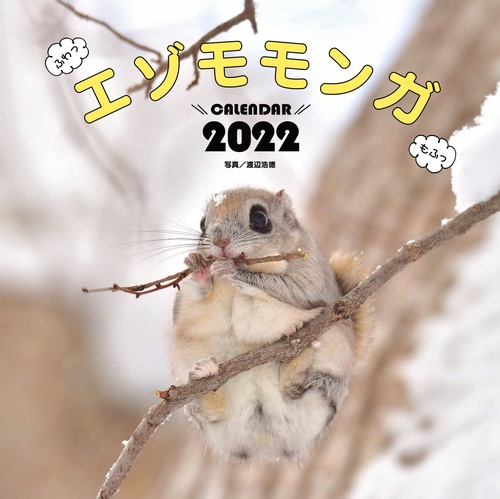 エゾモモンガカレンダー2022