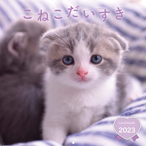 こねこだいすきカレンダー2023