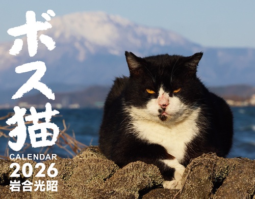 ボス猫カレンダー2026