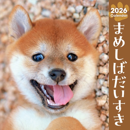 まめしばだいすきカレンダー2026