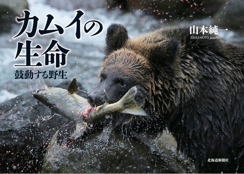 カムイの生命　鼓動する野生