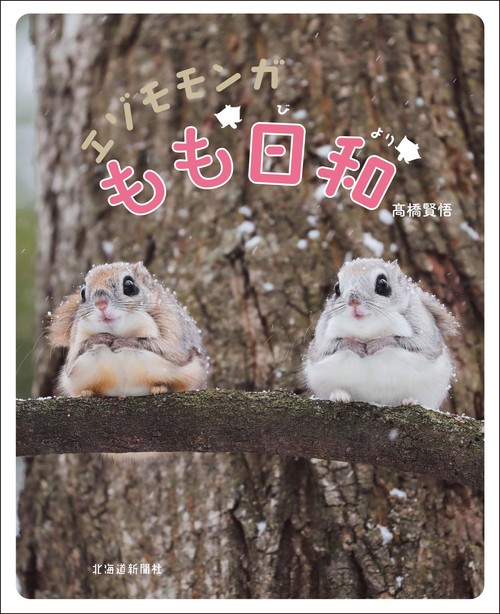 エゾモモンガ もも日和