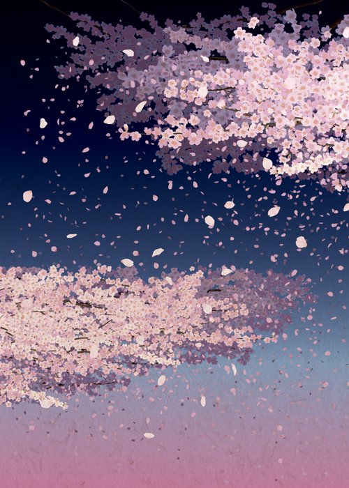 開運御朱印帳　夜桜（大判）