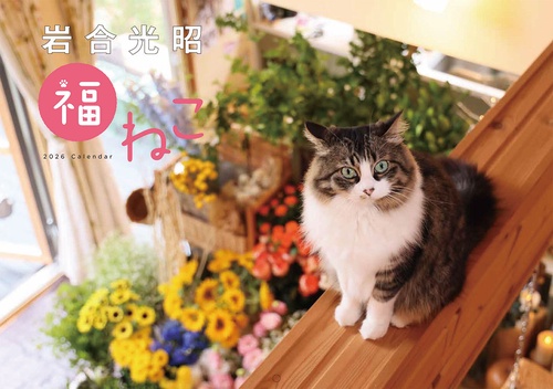 岩合光昭　福ねこカレンダー2026