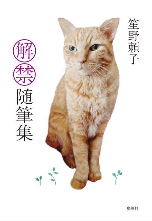 解禁随筆集