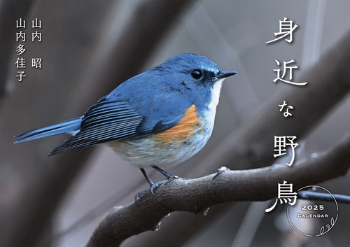 身近な野鳥カレンダー 2025
