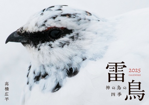雷鳥 神の鳥の四季カレンダー 2025